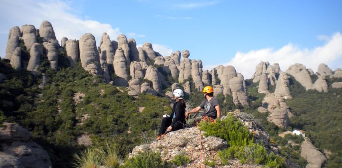 Agulles, màgia petrificada